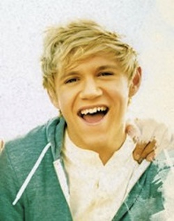 niallonedirection.jpg